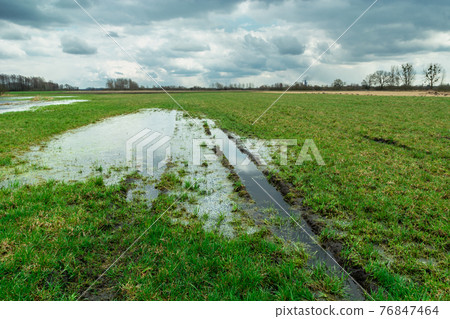 Flooded meadow with water and clouds on the sky, Nowiny, Poland 76847464