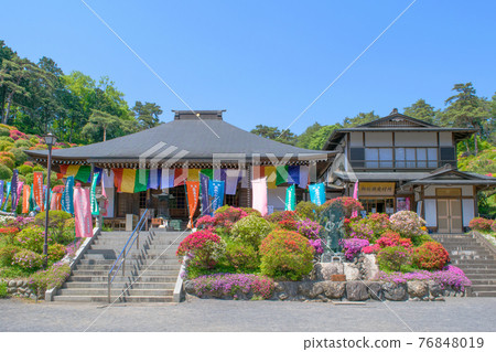 青梅市鹽船觀音古馬杜杜鵑花節 76848019