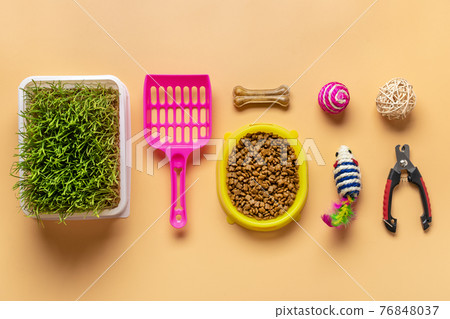 Dry food in bowl, spatula, nail scissors, grass, collar, balls, bones on beige background Top view Flat lay Toys, accessories and food for your beloved pet concept Dry food in bowl, spatula, nail scissors, grass, collar, balls, bones on beige background Top view Flat lay Toys, accessories and food for your beloved pet concept 76848037