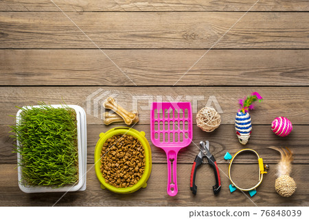 Dry food in bowl, spatula, nail scissors, grass, collar, balls, bones on wooden background Top view Flat lay Toys, accessories and food for your beloved pet concept Dry food in bowl, spatula, nail scissors, grass, collar, balls, bones on wooden background Top view Flat lay Toys, accessories and food for your beloved pet concept 76848039