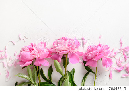 Bouquet of beautiful pink peony flowers on white. Bouquet of beautiful pink peony flowers on white. 76848245