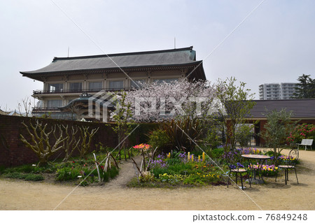琵琶湖大塚/櫻花 琵琶湖大塚/櫻花 76849248