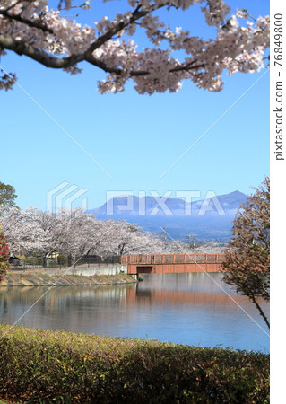 Sakura Hashienuma Environmental Fureai Park Sakura Hashienuma Environmental Fureai Park 76849800