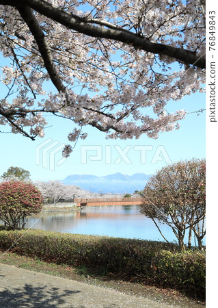 櫻花橋沼環境友好公園 櫻花橋沼環境友好公園 76849843