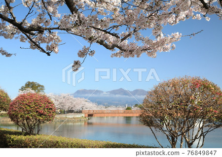櫻花橋沼環境友好公園 櫻花橋沼環境友好公園 76849847