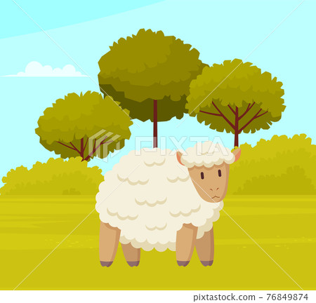 Cute white sheep stands on green meadow. Farm animals. Summer panorama with field and trees Cute white sheep stands on green meadow. Farm animals. Summer panorama with field and trees 76849874