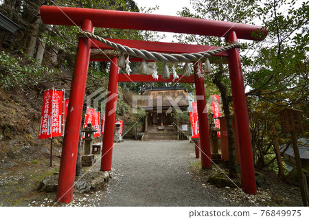 From Tamaki Shrine From Tamaki Shrine 76849975