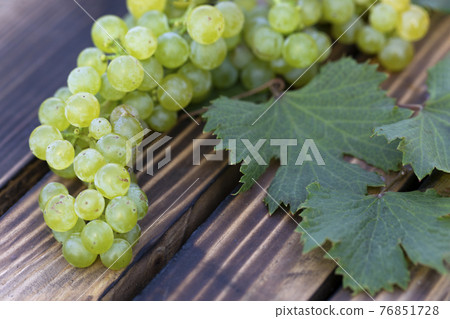 White wine grape on wooden background. harvest time 76851728