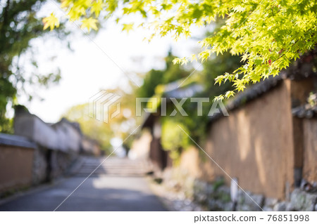 武士住宅清新綠色 武士住宅清新綠色 76851998