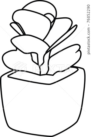 Succulent line drawing simple style icon vector 76852290
