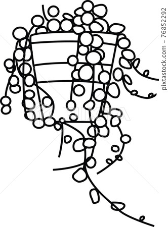 Line drawing style illustration of succulents 76852292