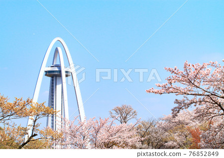 Ichinomiya City, Twin Arch 138 and cherry blossoms in full bloom 76852849