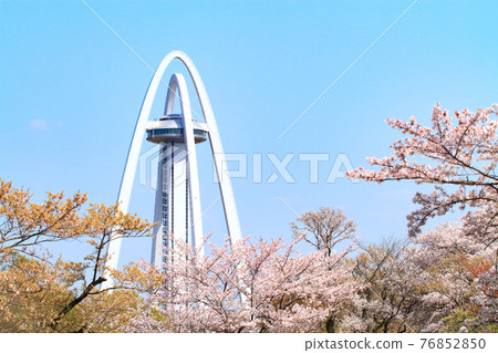 Ichinomiya City, Twin Arch 138 and cherry blossoms in full bloom 76852850