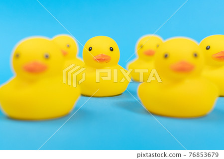 yellow rubber ducks on a blue background. Minimal design. selective focus yellow rubber ducks on a blue background. Minimal design. selective focus 76853679