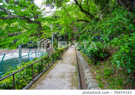 被當地人喜愛的元町公園游泳池旁路 76854183