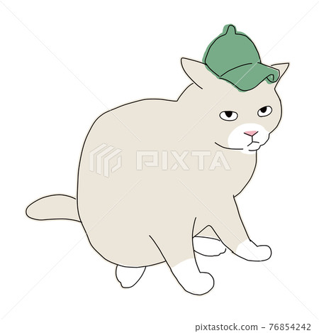 戴著帽子的貓全身圖 76854242
