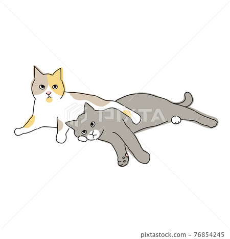 兩隻貓躺在對方身上的全身圖 76854245