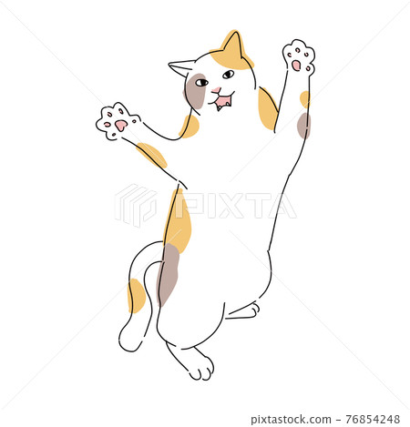 站立和戰鬥姿勢的印花布貓的全身插圖 76854248