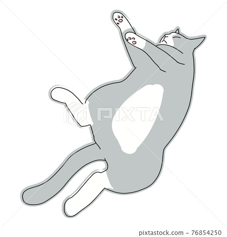 Full-body illustration of a cat lying on the floor and relaxing Full-body illustration of a cat lying on the floor and relaxing 76854250