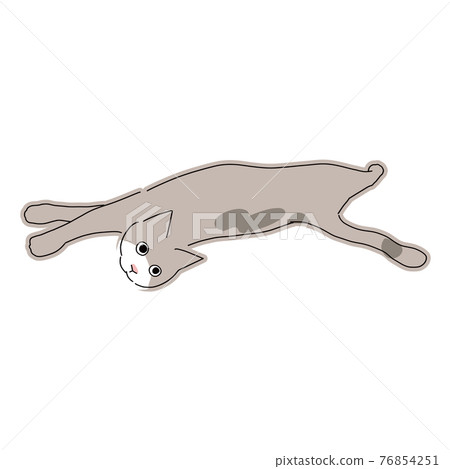 Full-body illustration of a cat looking back while lying on the floor Full-body illustration of a cat looking back while lying on the floor 76854251