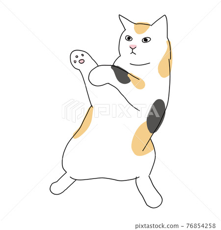 站立和戰鬥姿勢的印花布貓的全身插圖 站立和戰鬥姿勢的印花布貓的全身插圖 76854258