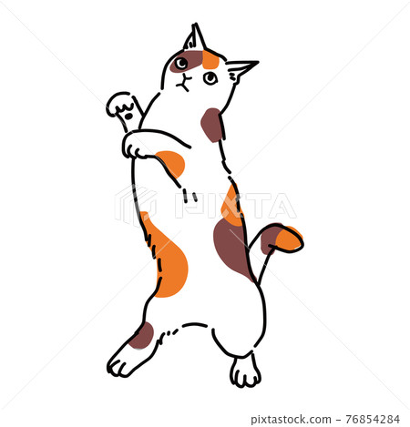 Full-body illustration of a dancing calico cat Full-body illustration of a dancing calico cat 76854284