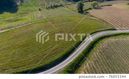 Beautiful aerial landscape of the French countryside and its vineyards, Gironde, France Beautiful aerial landscape of the French countryside and its vineyards, Gironde, France 76855344