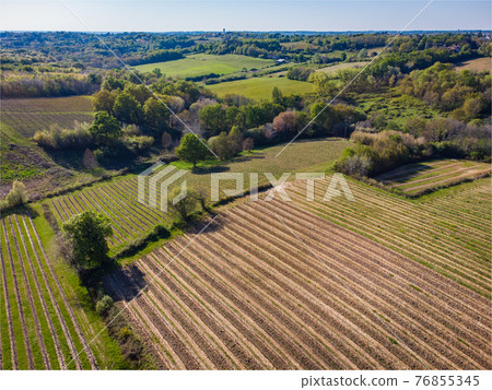 Beautiful aerial landscape of the French countryside and its vineyards, Gironde, France Beautiful aerial landscape of the French countryside and its vineyards, Gironde, France 76855345