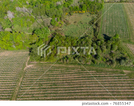 Beautiful aerial landscape of the French countryside and its vineyards, Gironde, France Beautiful aerial landscape of the French countryside and its vineyards, Gironde, France 76855347