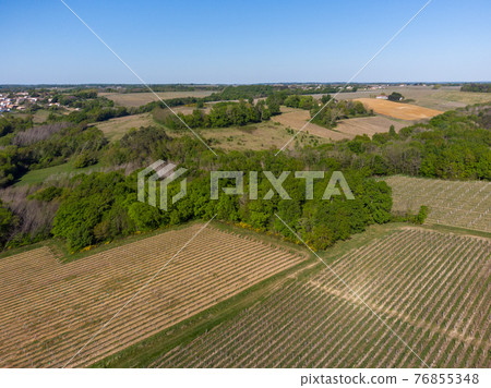 Beautiful aerial landscape of the French countryside and its vineyards, Gironde, France Beautiful aerial landscape of the French countryside and its vineyards, Gironde, France 76855348