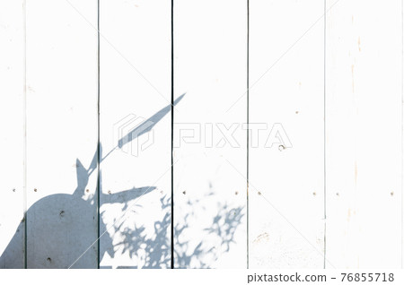 Terrace floor with shadows of foliage plants 76855718