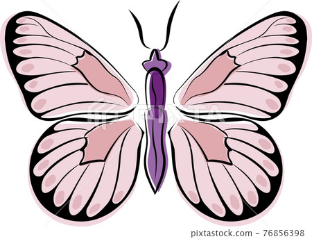 butterfly 76856398