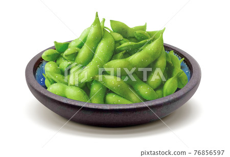 毛豆實物圖板 76856597