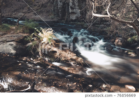 Mountain River in the wood 76856669