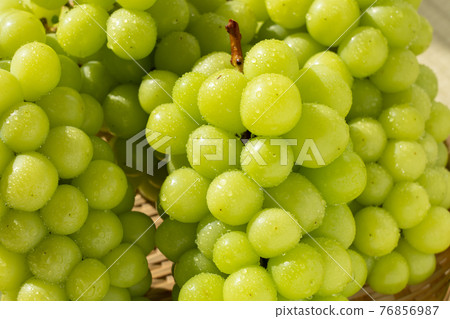 Fresh Shine Muscat grapes (collective sizzle) 76856987