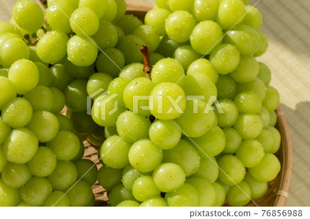 Fresh Shine Muscat grapes (collective sizzle) 76856988