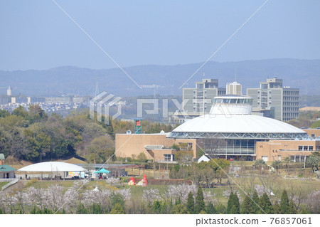 愛知世博紀念公園的櫻花(愛知縣長手市愛知兒童中心森科羅公園) 愛知世博紀念公園的櫻花(愛知縣長手市愛知兒童中心森科羅公園) 76857061
