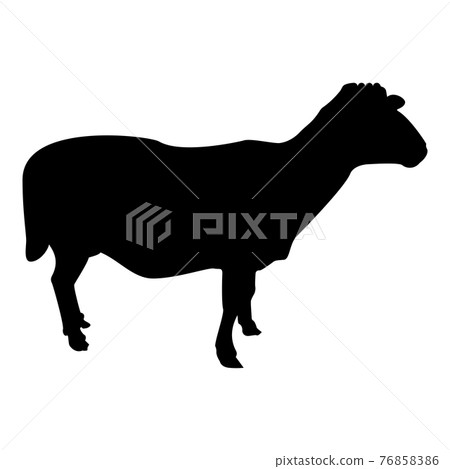 Silhouette sheep ewe domestic livestock farm  76858386