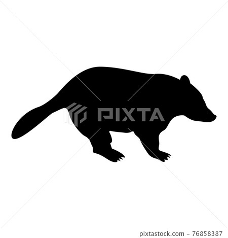 Silhouette badger animal wild meles taxus Silhouette badger animal wild meles taxus 76858387