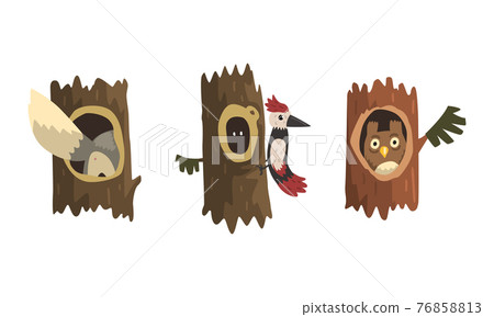 Cute Animals and Birds Living in Tree Hollows Set, Owl, Woodpecker Peeking Out of Hollow Cartoon Vector Illustration Cute Animals and Birds Living in Tree Hollows Set, Owl, Woodpecker Peeking Out of Hollow Cartoon Vector Illustration 76858813