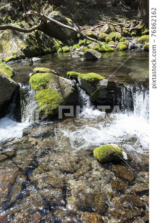 櫪木縣那須的溪流與岩石上的苔蘚 76862162