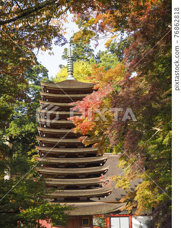 Autumn leaves of Tanzan Shrine and 13-storied pagoda Autumn leaves of Tanzan Shrine and 13-storied pagoda 76862818