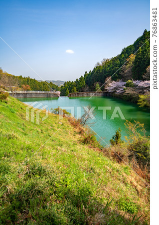 Satoyama Spring Emerald Green Suzumegawa Sabo Dam Lake 76863481