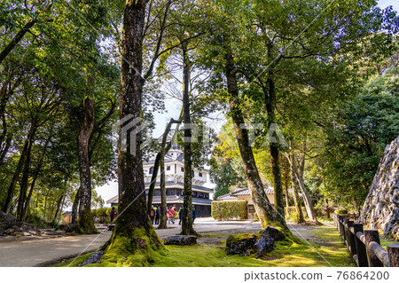 Tourists who came to Iwakuni Castle on the summit of Iwakuni City, Yamaguchi Prefecture Tourists who came to Iwakuni Castle on the summit of Iwakuni City, Yamaguchi Prefecture 76864200