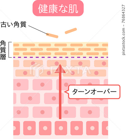 Turnover skin cross section 76864327
