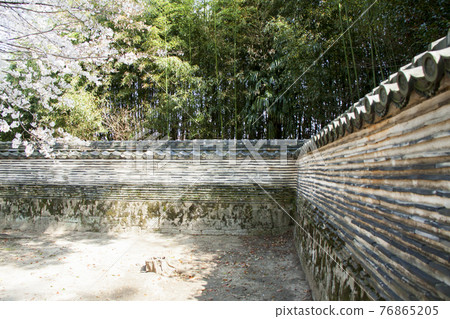 春天的大重寺，鬆平八代墓築地柵欄 76865205