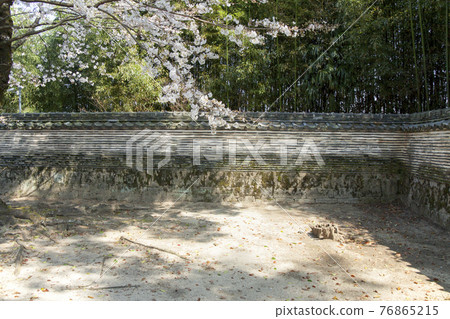 春天的大重寺，鬆平八代墓築地柵欄 76865215