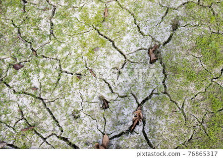 因乾涸而龜裂的土地 因乾涸而龜裂的土地 76865317