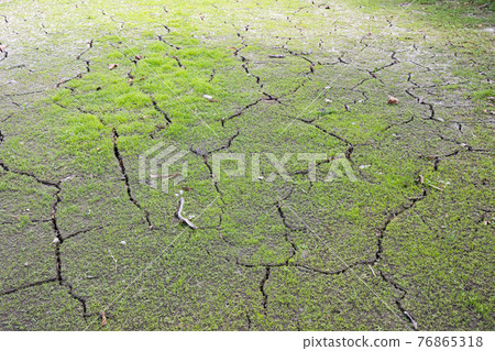 因乾涸而龜裂的土地 76865318