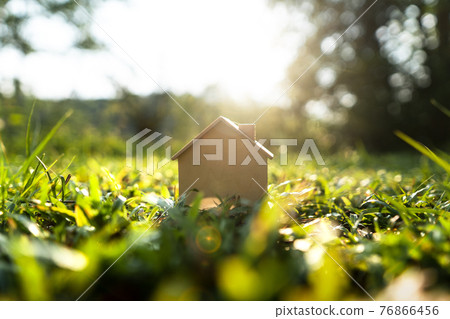 A toy house on the floor Grass in nature A toy house on the floor Grass in nature 76866456
